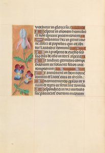 Heures de la reine Isabelle la Catholique, reine d