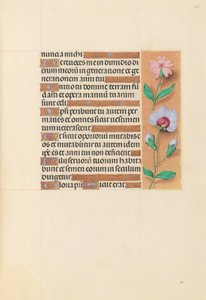 Heures de la reine Isabelle la Catholique, reine d