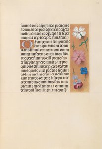 Heures de la reine Isabelle la Catholique, reine d