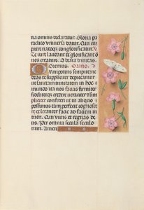 Heures de la reine Isabelle la Catholique, reine d