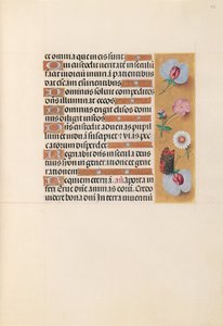 Heures de la reine Isabelle la Catholique, reine d