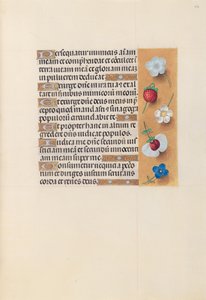 Heures de la reine Isabelle la Catholique, reine d