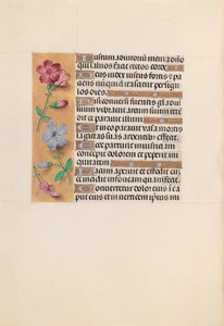 Heures de la reine Isabelle la Catholique, reine d