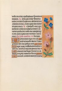 Heures de la reine Isabelle la Catholique, reine d