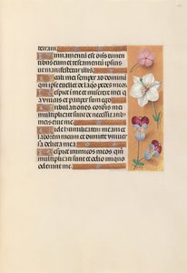 Heures de la Reine Isabelle la Catholique, Reine d