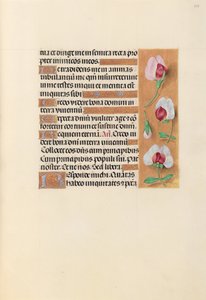 Heures de la reine Isabelle la Catholique, reine d