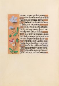 Heures de la reine Isabelle la Catholique, reine d