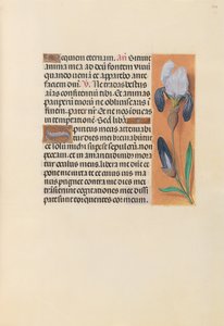 Heures de la reine Isabelle la Catholique, reine d