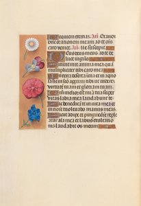 Heures de la reine Isabelle la Catholique, reine d