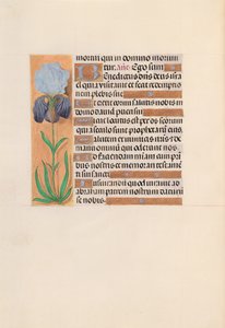 Heures de la reine Isabelle la Catholique, reine d