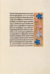 Heures de la reine Isabelle la Catholique, reine d