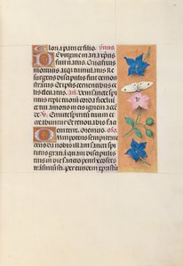 Heures de la Reine Isabelle la Catholique, Reine d