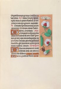 Heures de la reine Isabelle la Catholique, reine d