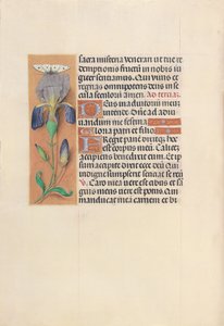 Heures de la reine Isabelle la Catholique, reine d