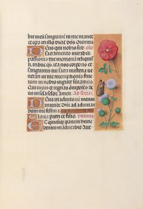 Heures de la reine Isabelle la Catholique, reine d