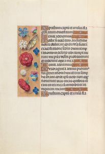 Heures de la reine Isabelle la Catholique, reine d