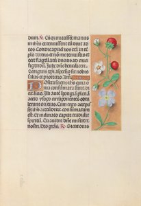 Les Heures de la reine Isabelle la Catholique, reine d