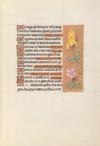 Heures de la reine Isabelle la Catholique, reine d