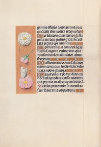 Heures de la reine Isabelle la Catholique, reine d
