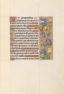 Heures de la reine Isabelle la Catholique, reine d