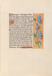 Heures de la reine Isabelle la Catholique, reine d