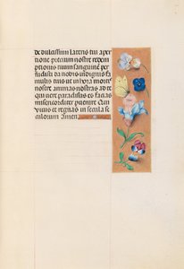 Heures de la reine Isabelle la Catholique, reine d