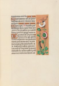 Heures de la reine Isabelle la Catholique, reine d