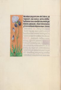 Heures de la reine Isabelle la Catholique, reine d