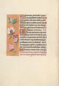 Heures de la reine Isabelle la Catholique, reine d