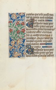 Livre d