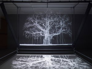 Albion, 2017 (projecteur, lecteur multimédia, échafaudage, film transparent, bois, peinture, miroir, accessoires d