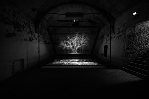 Albion, 2017 (projecteur, lecteur multimédia, échafaudage, film transparent, bois, peinture, miroir, accessoires d