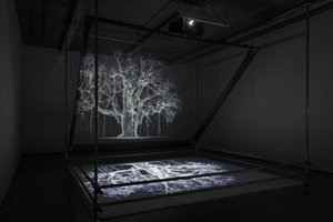 Albion, 2017 (projecteur, lecteur multimédia, échafaudage, film transparent, bois, peinture, miroir, accessoires d