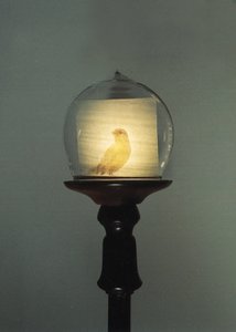 Antique - Mat Collishaw