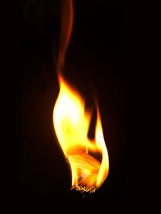 Burning Butterfly 16, 2013 (Lambda print)