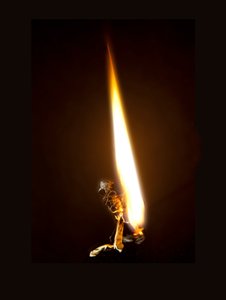 Burning Butterfly 8, 2013 (Lambda print)