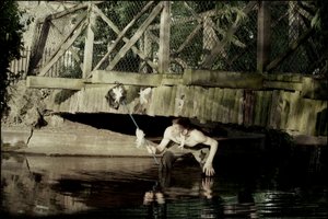 Attraper les fées 1 - Mat Collishaw