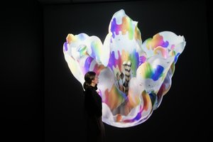 Heterosis, à l