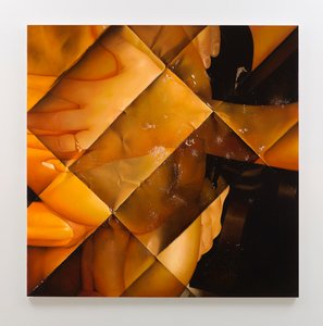 Inhibitions, 2013 (huile sur toile)