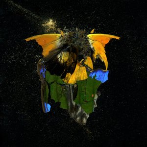 Insecticide 14, 2009 (photographie de type C)