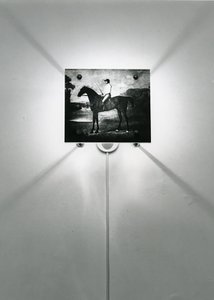 Chevaux Stubbs - Mat Collishaw