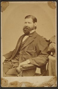Thomas Davidson Jr. - Mathew B. Brady