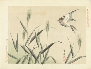 Oiseau volant près des herbes