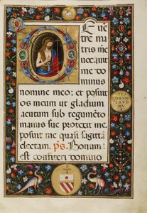 Saint Jean-Baptiste - Matteo da Milano