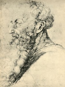 Portrait de Guido Guersi, 1513-1515, 1943