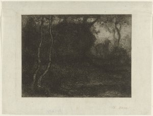 Forêt avec chevreau