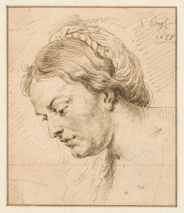 Tête de femme - Matthys van den Bergh
