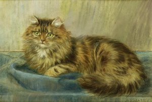 Chat persan