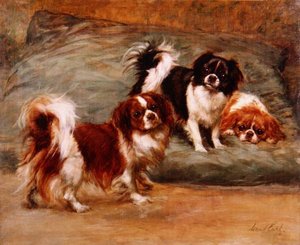 Trois épagneuls King Charles sur un coussin