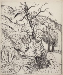 Arbre à flanc de montagne, vers 1930 (pinceau, encre et fusain sur papier vélin blanc cassé)